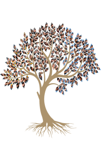 MEF Tree of Students transparent background